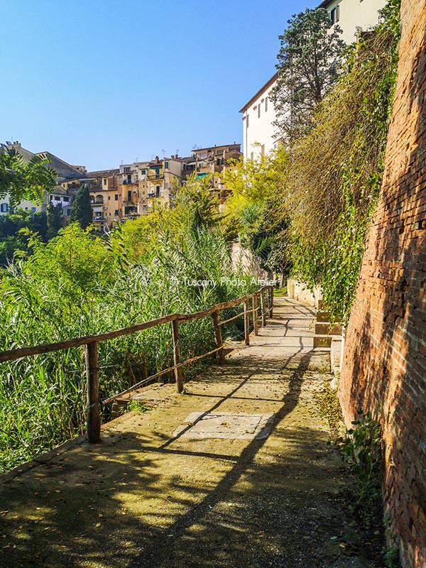 Guided tour to the Charcoal alley in San Miniato